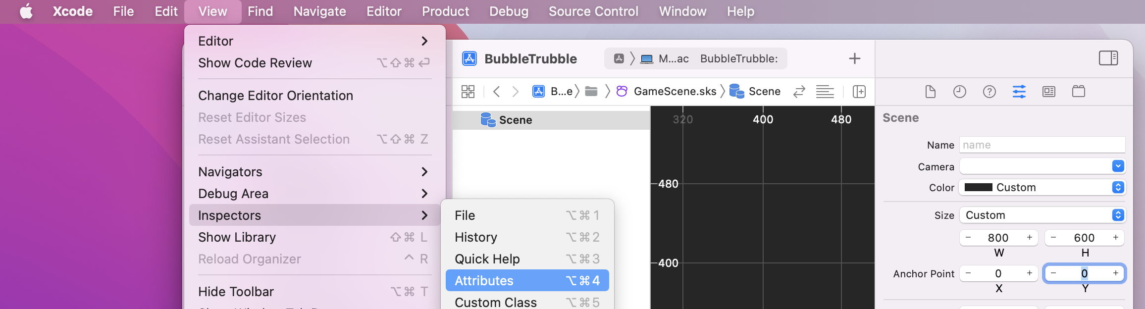 An Xcode window showing the Scene set to 800x600 dimensions with anchor (0, 0).