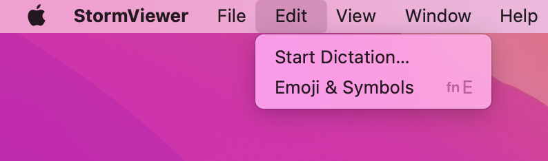 StormViewer's Edit menu is now much shorter.