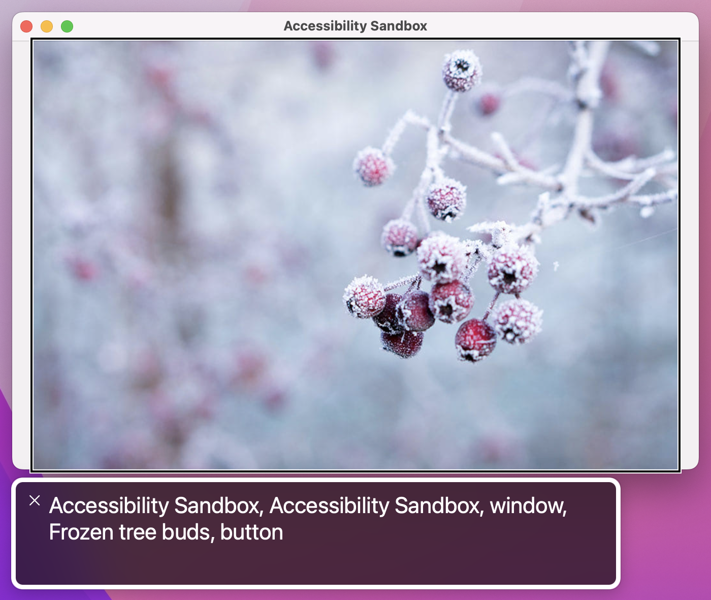 Voiceover now says 'Frozen tree buds, button'.
