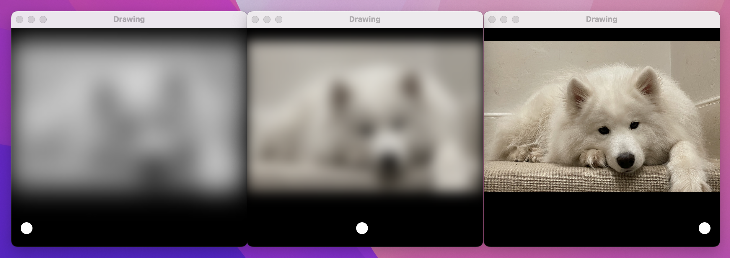 3 dog images over sliders set to different levels. The left photo is blurry and grayscale. The right photo is sharp and colorful.