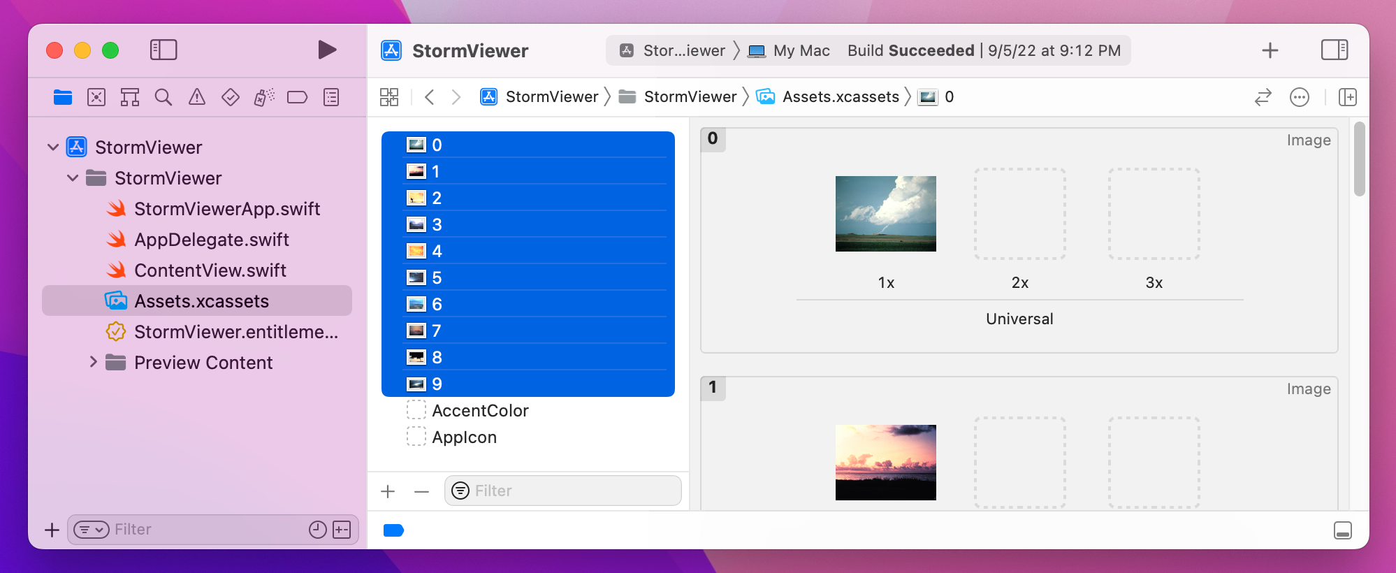 `Assets.xcassets` should have images in a list, visible in the preview window.